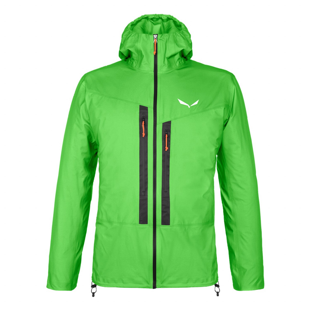 Jaquetas Hardshell Salewa Lagorai GORE-TEX® Active Homem Verdes 819HLZNVM